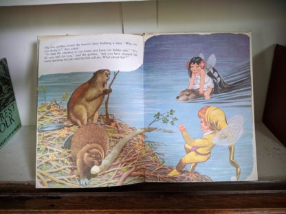 pages inside a 1973 copy of Journey to the Blue Lake - The Adventures of Dinky and Flora