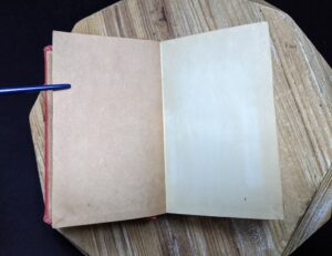 front endpaper inside a 1916 copy of The Emigrant by Dostoieff Skaya