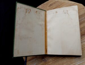 front pastedown and endpaper inside a 1903 First edition copy of The Golden Windows - A Book Of Fables For Young And Old