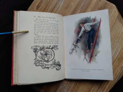 colour illustration inside a 1904 copy of The Day of the Dog by George Barr McCutcheon - First Edition