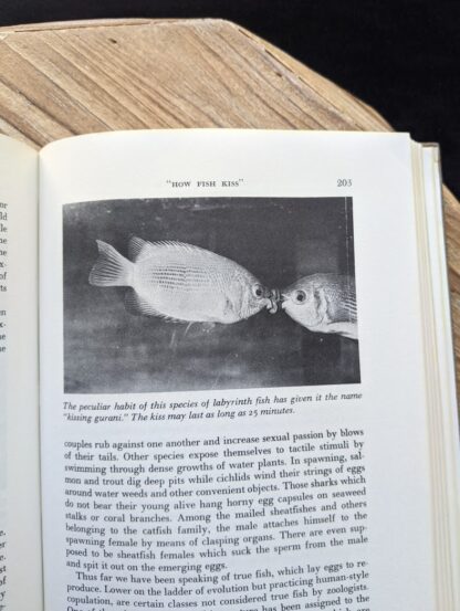 picture of fish kissing - 1965 The Sex Life of the Animals by Herbert Wendt - First Printing