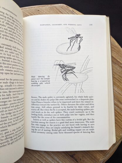 sex with insects - 1965 The Sex Life of the Animals by Herbert Wendt - First Printing