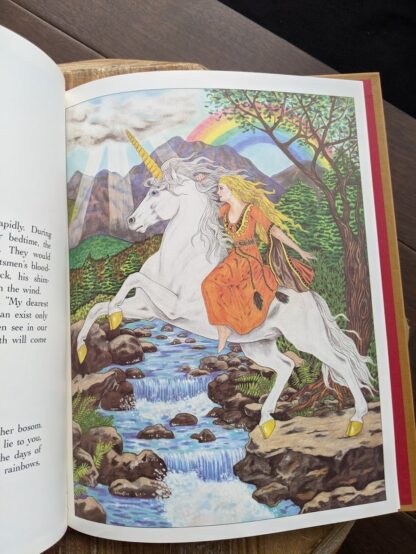 illustration inside a 1981 copy of One Unicorn written and illustrated by Gale Cooper - First Edition