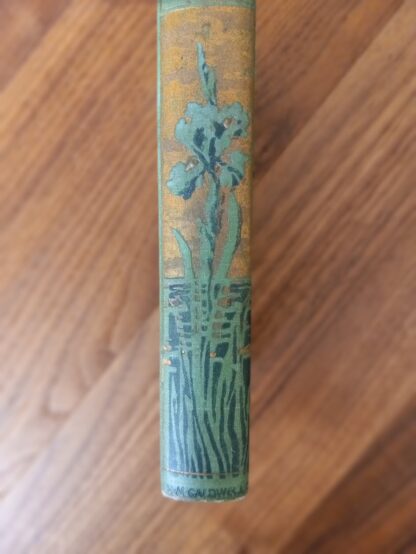 Lower spine - circa 1890s Paradise Lost by John Milton - H.M. Caldwell co. publishers