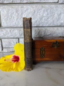 1886 The Prairie Chief by R.M. Ballantyne - First Edition - binding view