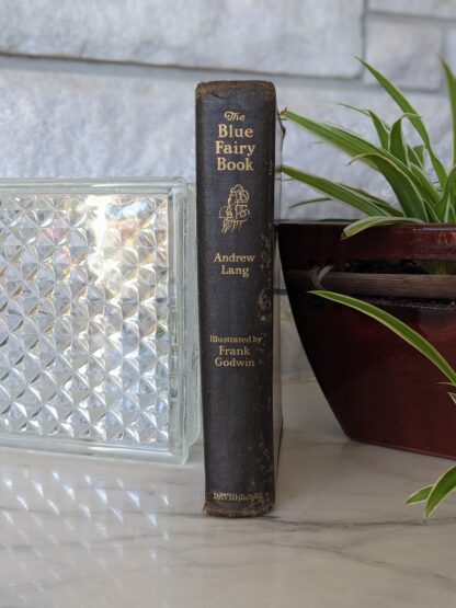 1921 The Blue Fairy Book edited by Andrew Lang - First Edition published by David McKay Company - Binding View