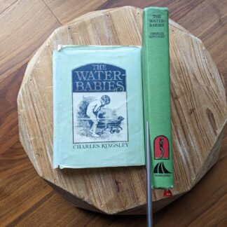 1979 The Water Babies {a fairy tale for a land-baby} by Charles Kingsley - First Published in this edition by Mayflower Books Inc.