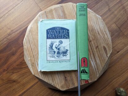 1979 The Water Babies {a fairy tale for a land-baby} by Charles Kingsley - First Published in this edition by Mayflower Books Inc.