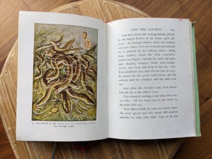 All the bottom of the stream alive with great eels, turning and twisting along - 1979 The Water Babies {a fairy tale for a land-baby} by Charles Kingsley - Facsimile Classics Series
