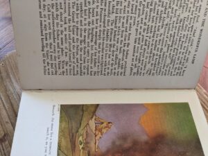 Full seam split - 1921 The Blue Fairy Book edited by Andrew Lang - First Edition published by David McKay Company