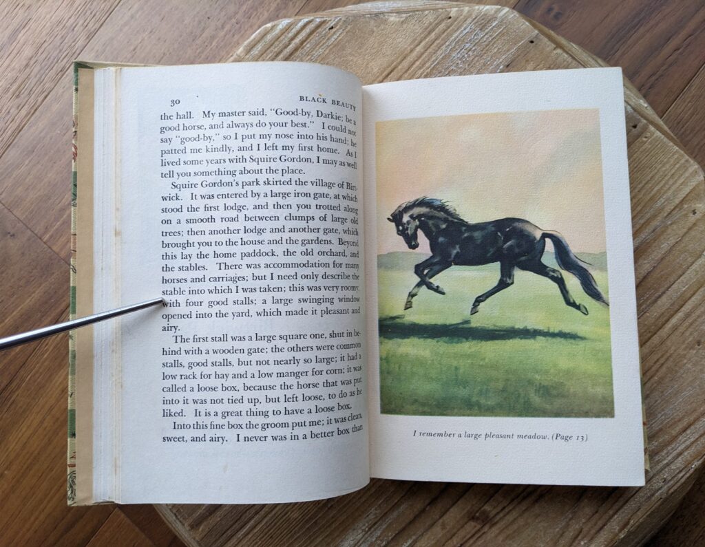1946 Black Beauty by Anna Sewell - The World Publishing Company - Colour Illustration by Wesley Dennis