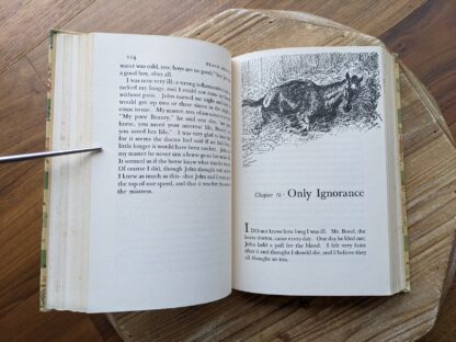 Chapter 19 - Only Ignorance - 1946 Black Beauty by Anna Sewell - The World Publishing Company - Illustrations by Wesley Dennis