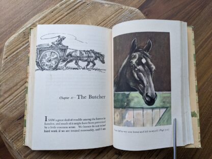 Chapter 41- The Butcher - 1946 Black Beauty by Anna Sewell - The World Publishing Company - Illustrations by Wesley Dennis
