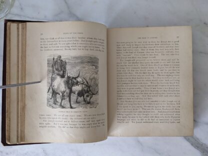 1887 The Story of the Bible by Charles Foster - book of genesis - royal publishing company