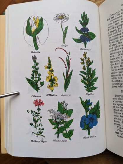 Culpeper's Complete Herbal circa 1970's - undated - illustrated colour plate