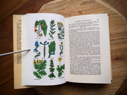 colour plate - Culpeper's Complete Herbal circa 1970's - undated