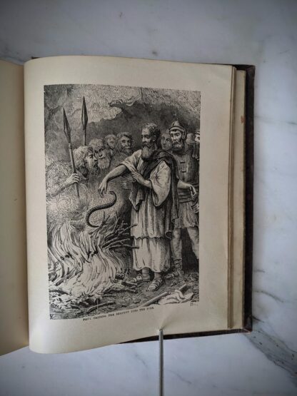 image of Paul casting the serpent into the fire - 1887 The Story of the Bible by Charles Foster - The Royal Publishing Company