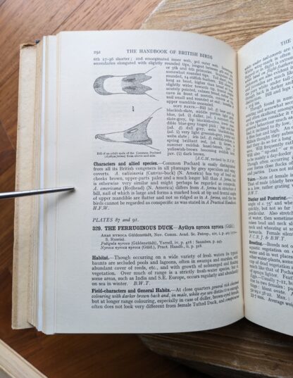 bill of a common pochard duck - 1949 The Handbook of British Birds - sixth impression - Volume 1 to 4