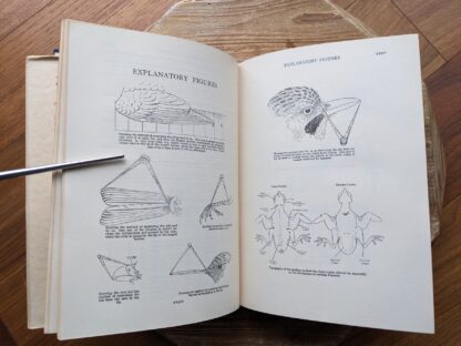explanatory figures - 1949 The Handbook of British Birds - sixth impression - Volume 1 to 4