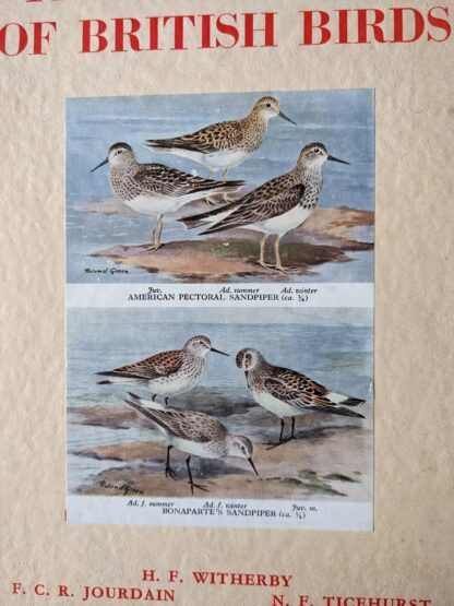 front panel dustjacket - 1949 The Handbook of British Birds - sixth impression - Volume 1 to 4