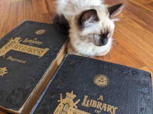 gold gilt blindstamp on black leather - A Library of Freemasonry Illustrated Five Volume Set - Published in 1911 by The John C. Yorston Publishing Co.
