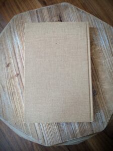 back panel