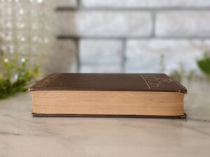 textblock view -1914 The Witch by Mary Johnston - First Edition
