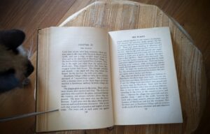 the plague - 1914 The Witch by Mary Johnston - First Edition