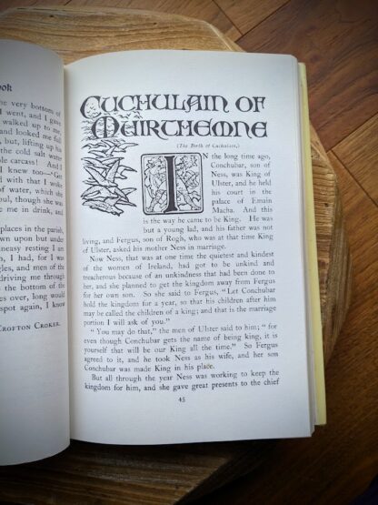 Cuchulain of Muirthemne - 1997 The Irish Fairy Book - Myth and Romance from The Old World - By Alfred Perceval Graves