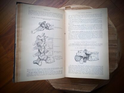 Osteology - 1926 Gray's Anatomy - Descriptive and Applied - 23rd Edition - Longmans, Green and Co. Ltd.