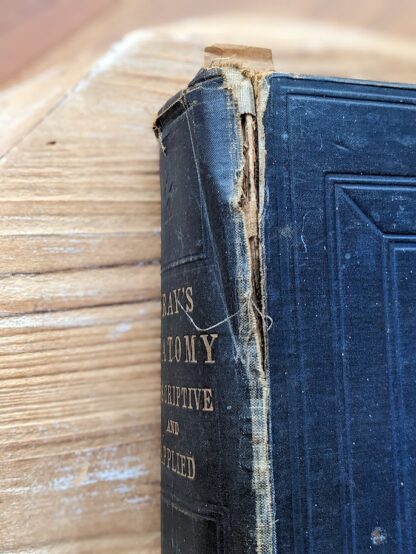 damage to upper hinge of spine - 1926 Gray's Anatomy - Descriptive and Applied - 23rd Edition - Longmans, Green and Co. Ltd.