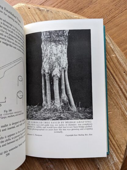 girdled tree saved by bridge grafting - 1953 The Grafter's Handbook by R. J. Garner