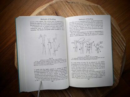 methods of grafting - 1953 The Grafter's Handbook by R. J. Garner