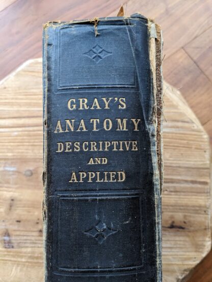 upper spine - 1926 Gray's Anatomy - Descriptive and Applied - 23rd Edition - Longmans, Green and Co. Ltd.