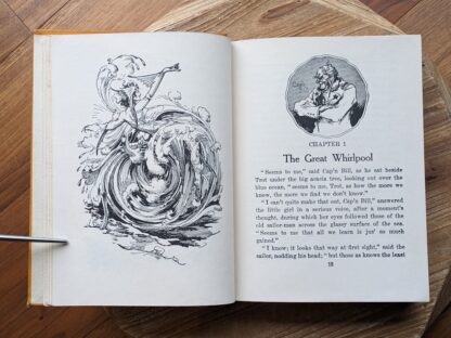 Chapter 1 - 1915 The Scarecrow - illustrated by John R. Neill - The Reilly & Lee Co