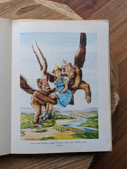 Two of the Monkeys caught Dorothy in their arms - illustration by Evelyn Copelman