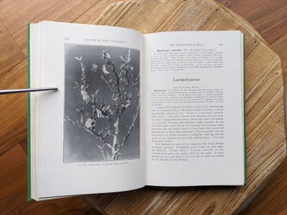 Loranthaceae - The Mistletoe Family - Plants of New Zealand by Laing and Blackwell - Fifth Edition - undated - circa 1940s
