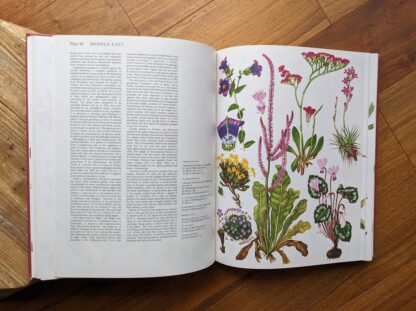 Middle East - 1970 Wild Flowers of the World - Paintings by Barbara Everard - Published by Peerage Books