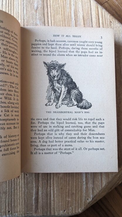 illustration by Robert L. Dickey - 1942 A Book of Famous Dogs by Albert Payson Terhune