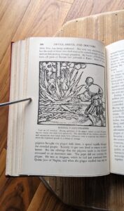 Burning Plague Spreaders - 1929 Devils Drugs and Doctors by Howard W Haggard - Blue Ribbon Books