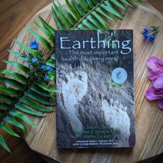 Earthing by Clinton Ober