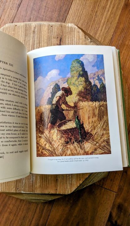 1983 Robinson Crusoe with pictures by N.C. Wyeth - deluxe edition - illustration inside