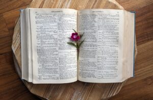 Pages inside - Circa 1920s - Complete Shakespeare with Temple Notes