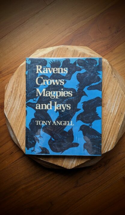 1978 Ravens Crows Magpies and Jays by Tony Angell - Front Panel with Dustjacket