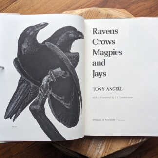 1978 Ravens Crows Magpies and Jays by Tony Angell - Title Page