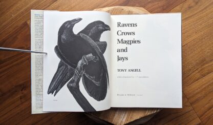 1978 Ravens Crows Magpies and Jays by Tony Angell - Title Page