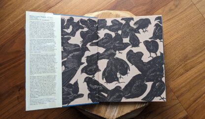 1978 Ravens Crows Magpies and Jays by Tony Angell - pastedown and endpaper with 100 Mexican Crows