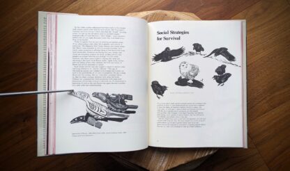 Social Strategies for Survival - 1978 Ravens Crows Magpies and Jays by Tony Angell