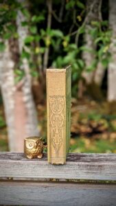 1912 The Forest Lovers by Maurice Hewlett - published by Macmillan and Co - Spine View