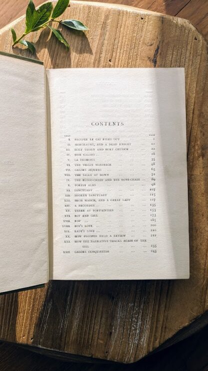 Contents page - 1912 The Forest Lovers by Maurice Hewlett - published by Macmillan and Co